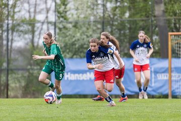 Bild 234 - wBJ Hamburger SV - SV Werder Bremen : Ergebnis: 2:2